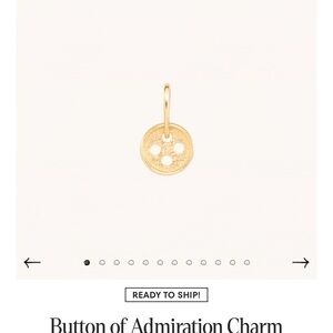 NWT • Jenny slate x catbird charm